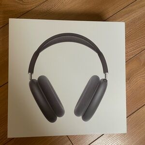 Apple Max headphones